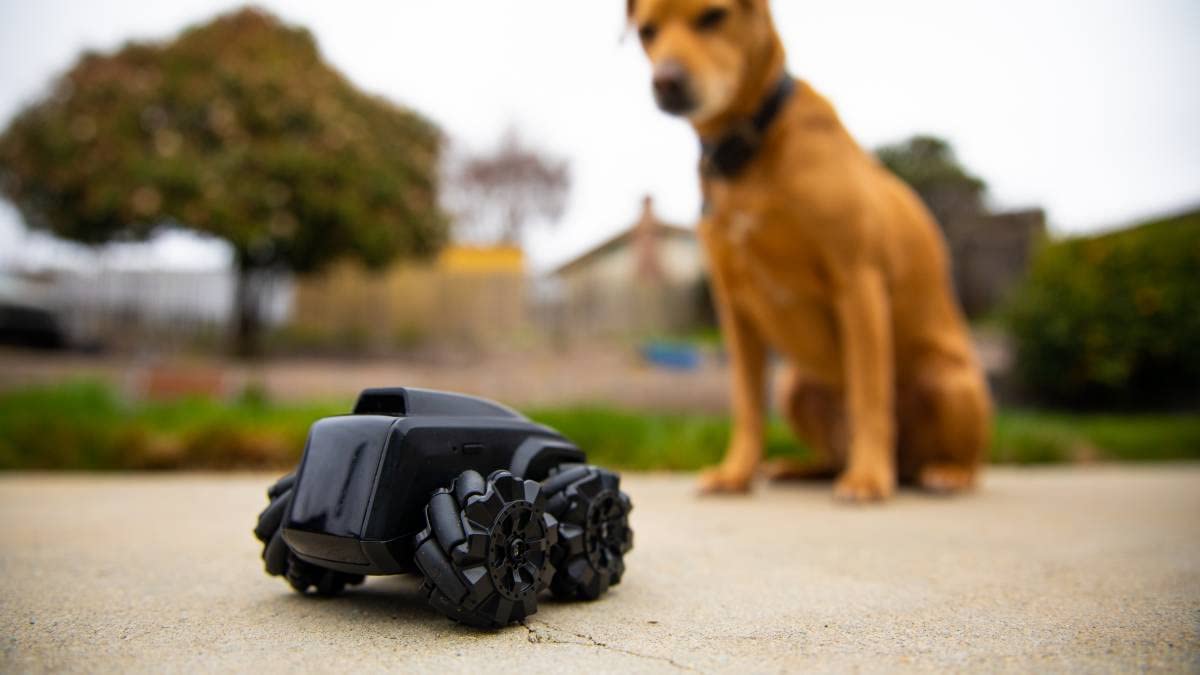Moorebot Scout Model E - Versatile Mobile Camera Robot, Waterproof, Indoor, and Outdoor, for Monitoring, Inspection and Robot Hobbyists