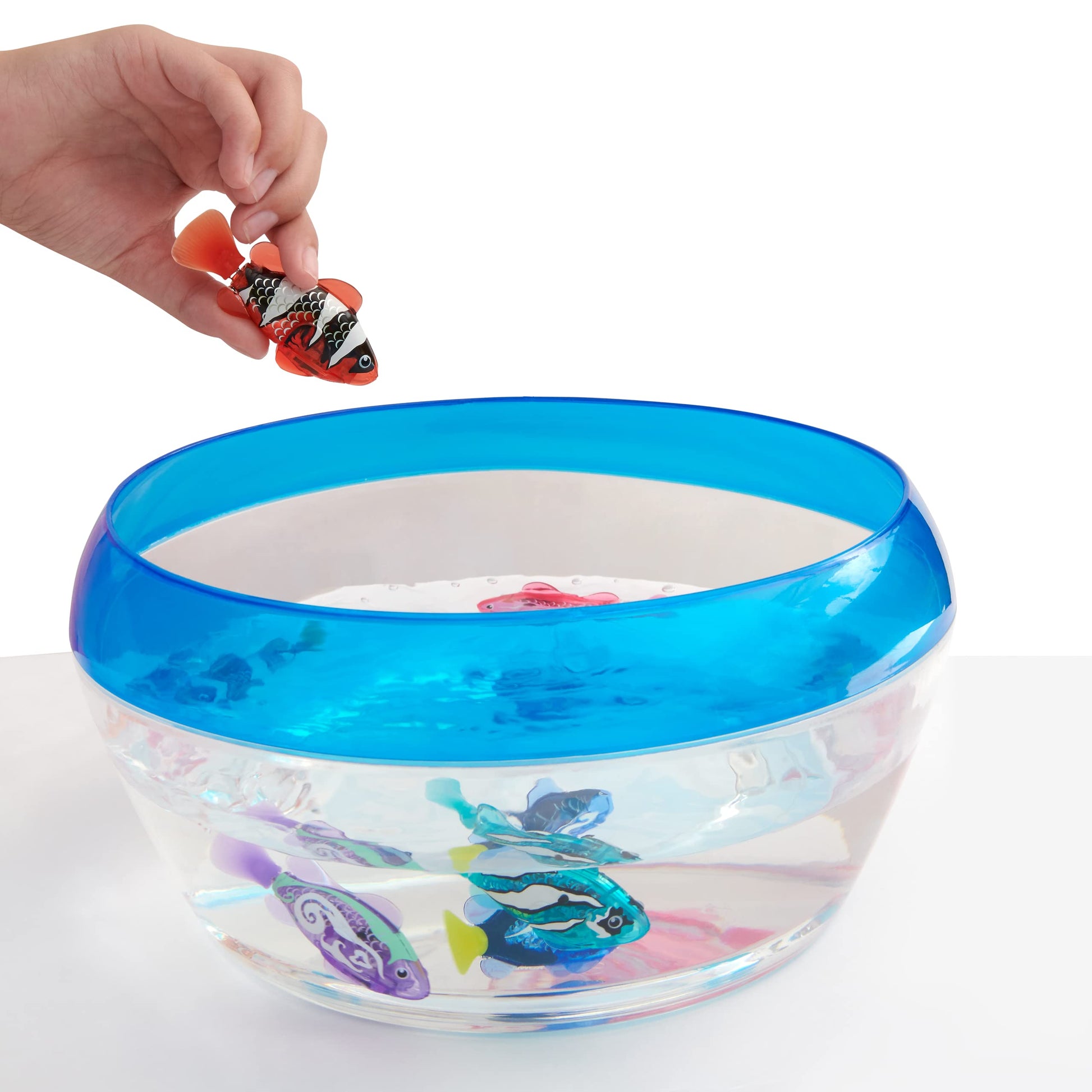 Robo Alive Robo Fish Robotic Swimming Fish (Teal + Orange) by ZURU Water Activated, Changes Color, Comes with Batteries, Amazon Exclusive (2 Pack) Series 3