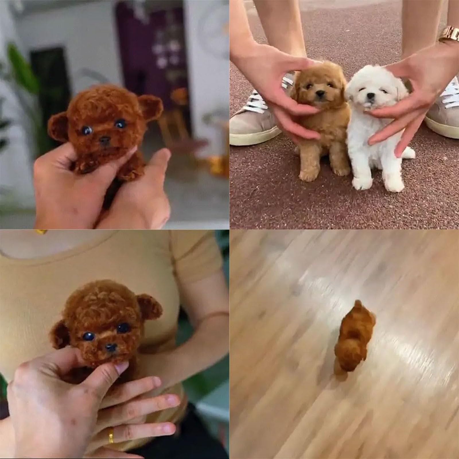 2025 New Robot Dog, Robotic Puppy Toys, Realistic Smart Cotton Plush Toy Dog for Adults That Acts Like a Real Puppies Walking Barking Tail Wagging Interactive Companion (Dog B)