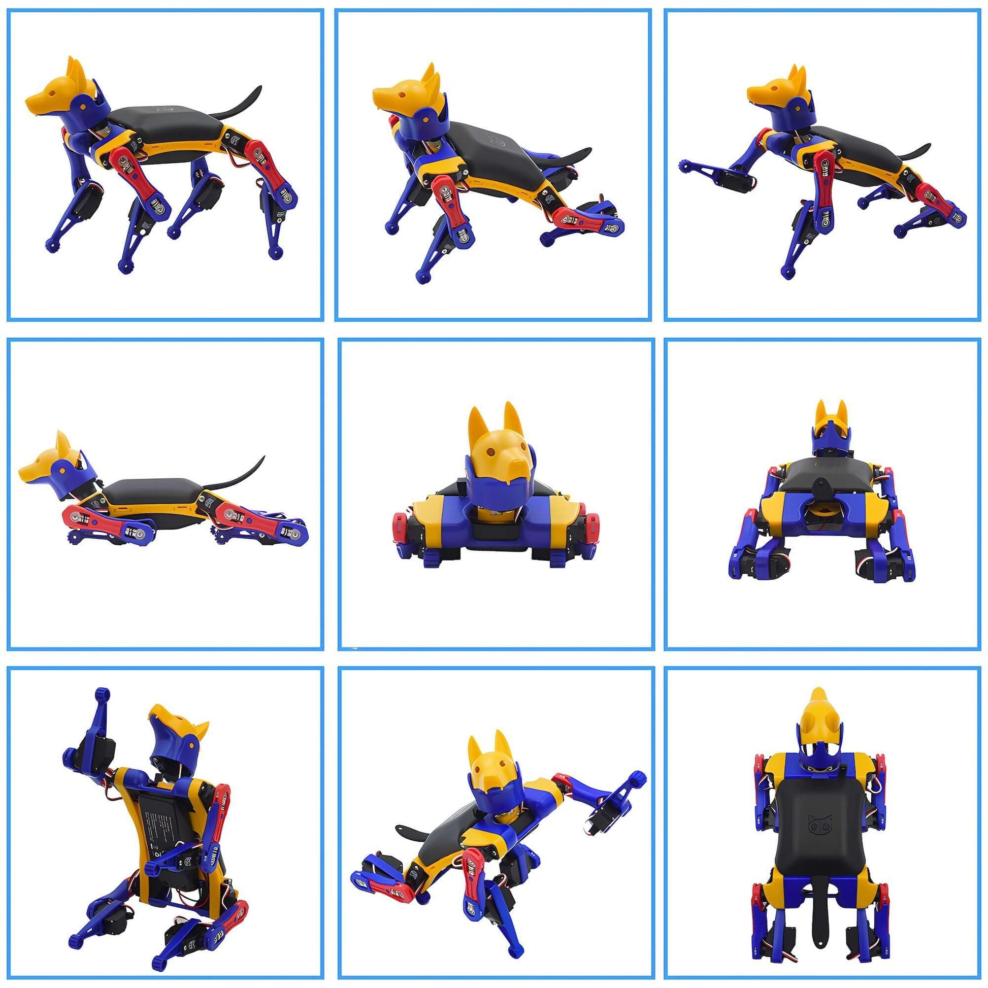 Robot Dog Bittle X (Construction) | Robotics Kit | App & Voice Control Smart Robot | Programmable Open Source Coding Robot Kit | STEM & Robotics Education for Teens, Coders, Geeks, & Students