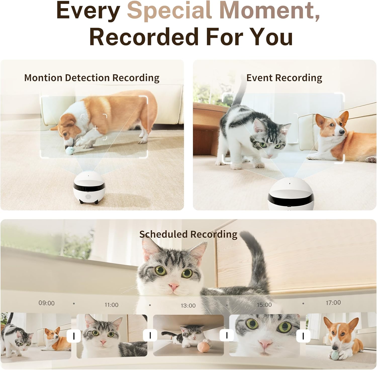 Enabot EBO 2K Camera Robot ROLA Mini: Movable Pet Camera Battery-Powered with Phone App, Indoor Cam w/One-Touch Call, 2-Way Talk, Night Vision, Motion Detection, Video Recording