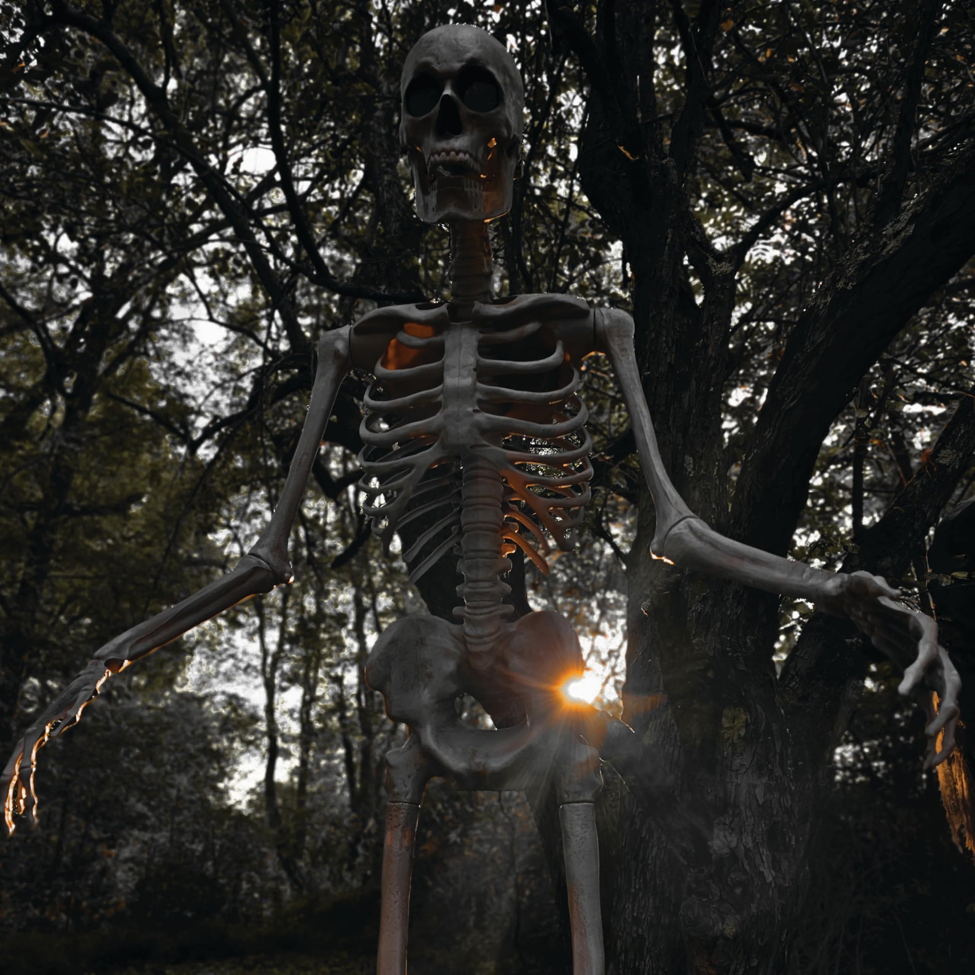 Haunted Hill Farm Motion-Activated 6-Ft. Tall Ghostly Guide, Plug-in Talking Scare Prop Animatronic with Spooky Sound Effects and Lights for Indoor or Covered Outdoor Creepy Halloween Decoration