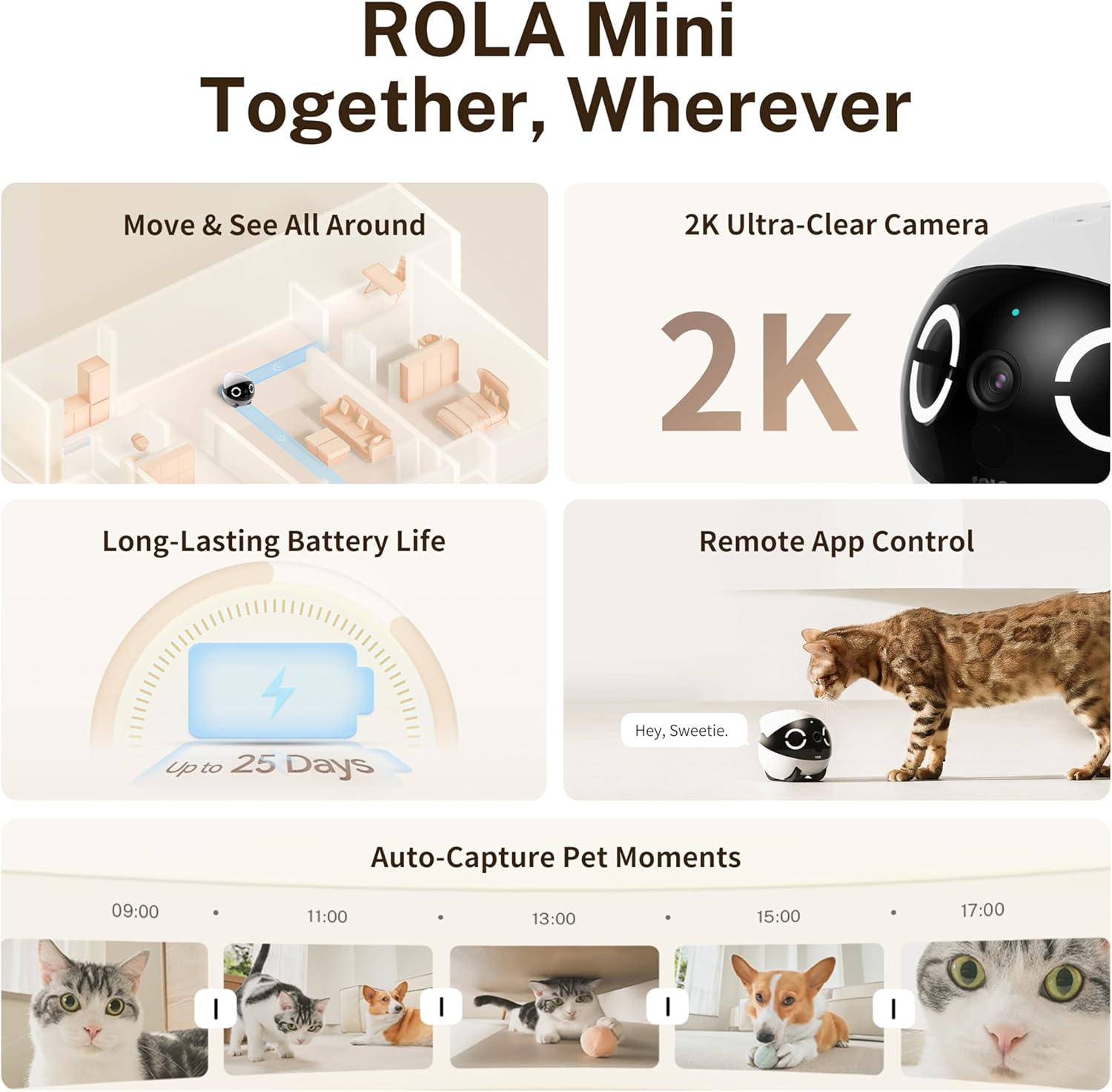 Enabot EBO 2K Camera Robot ROLA Mini: Movable Pet Camera Battery-Powered with Phone App, Indoor Cam w/One-Touch Call, 2-Way Talk, Night Vision, Motion Detection, Video Recording