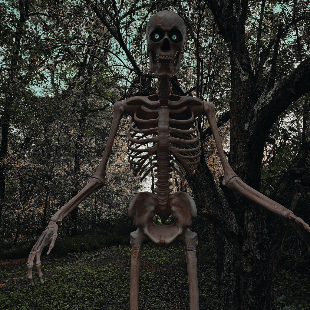 Haunted Hill Farm Motion-Activated 6-Ft. Tall Ghostly Guide, Plug-in Talking Scare Prop Animatronic with Spooky Sound Effects and Lights for Indoor or Covered Outdoor Creepy Halloween Decoration