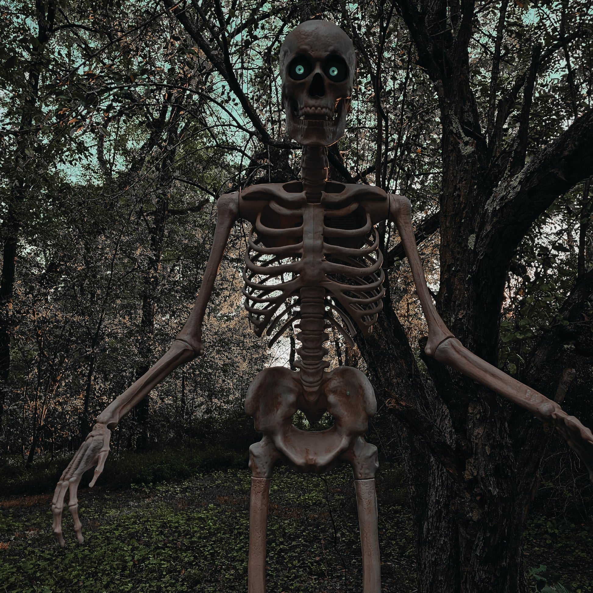 Haunted Hill Farm Motion-Activated 6-Ft. Tall Ghostly Guide, Plug-in Talking Scare Prop Animatronic with Spooky Sound Effects and Lights for Indoor or Covered Outdoor Creepy Halloween Decoration