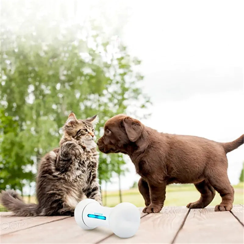 Smart Electric Pet Toy - Intelligent Robot Bone