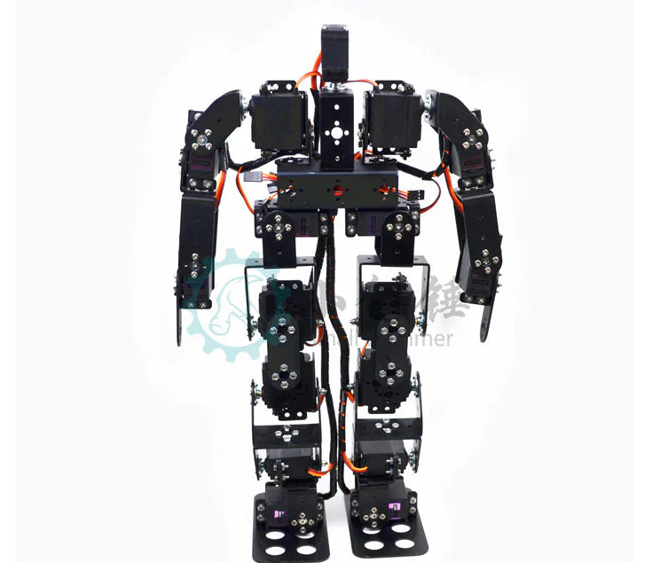 Dancing and Racing Robot Collection